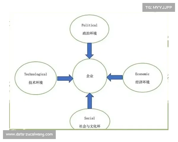 搏击行业宏观环境分析，政治法律、经济、社会、技术多维度评估